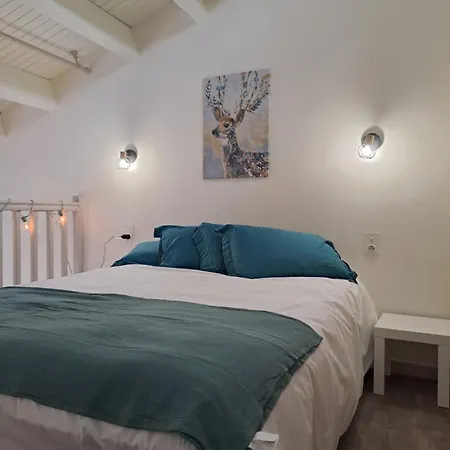 Appartement Location Papallona