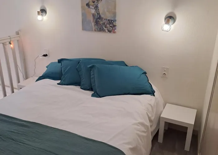 Location Papallona Vernet-les-Bains